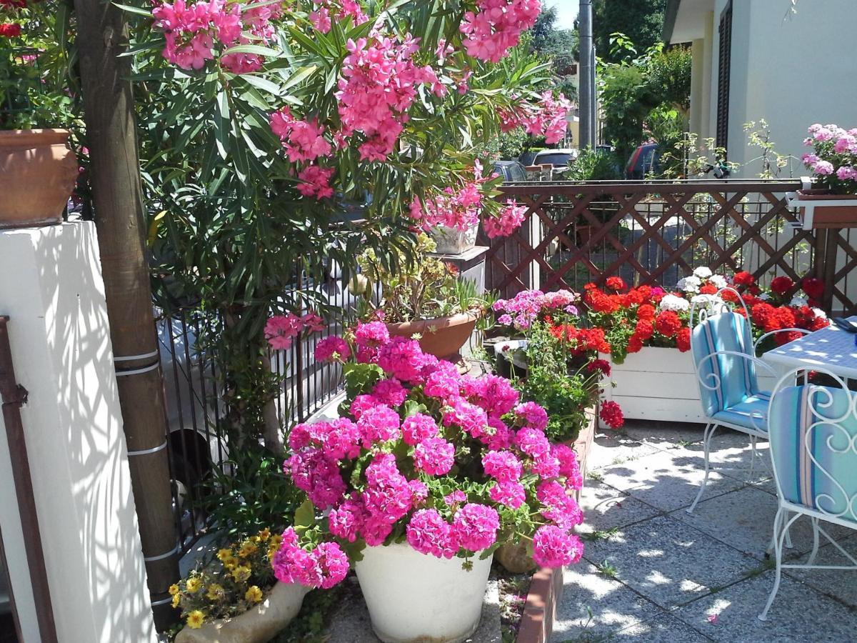 Villa Luanaチェルヴィア エクステリア 写真